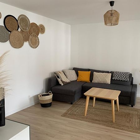 Les Rives Du Chateau, 90M2, Vue Sur Le Canal Saverne Esterno foto