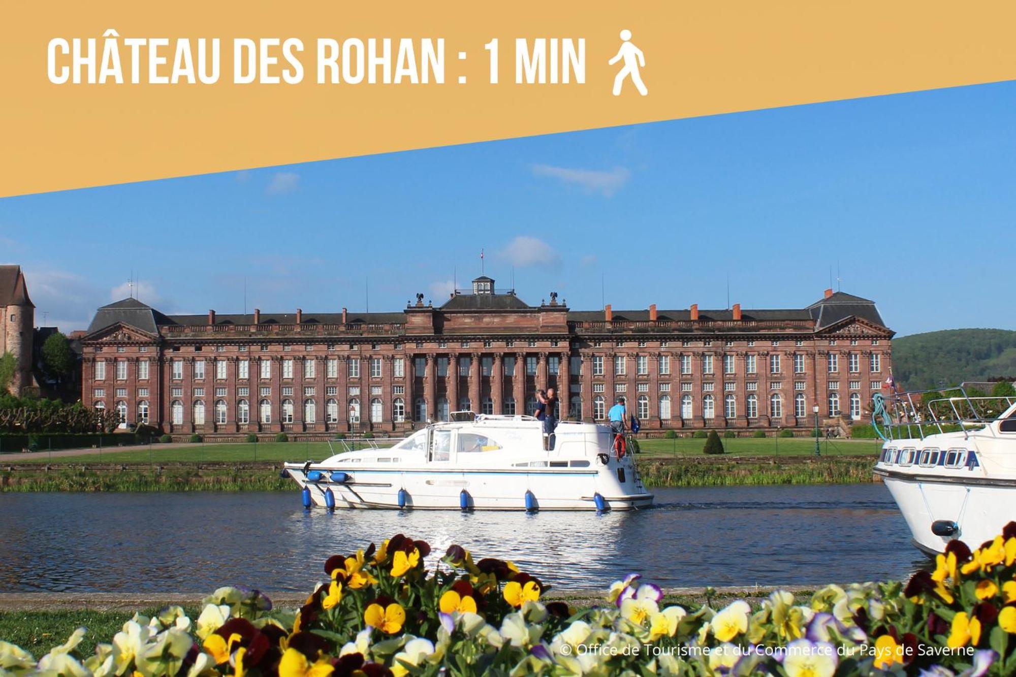 Les Rives Du Chateau, 90M2, Vue Sur Le Canal Saverne Esterno foto