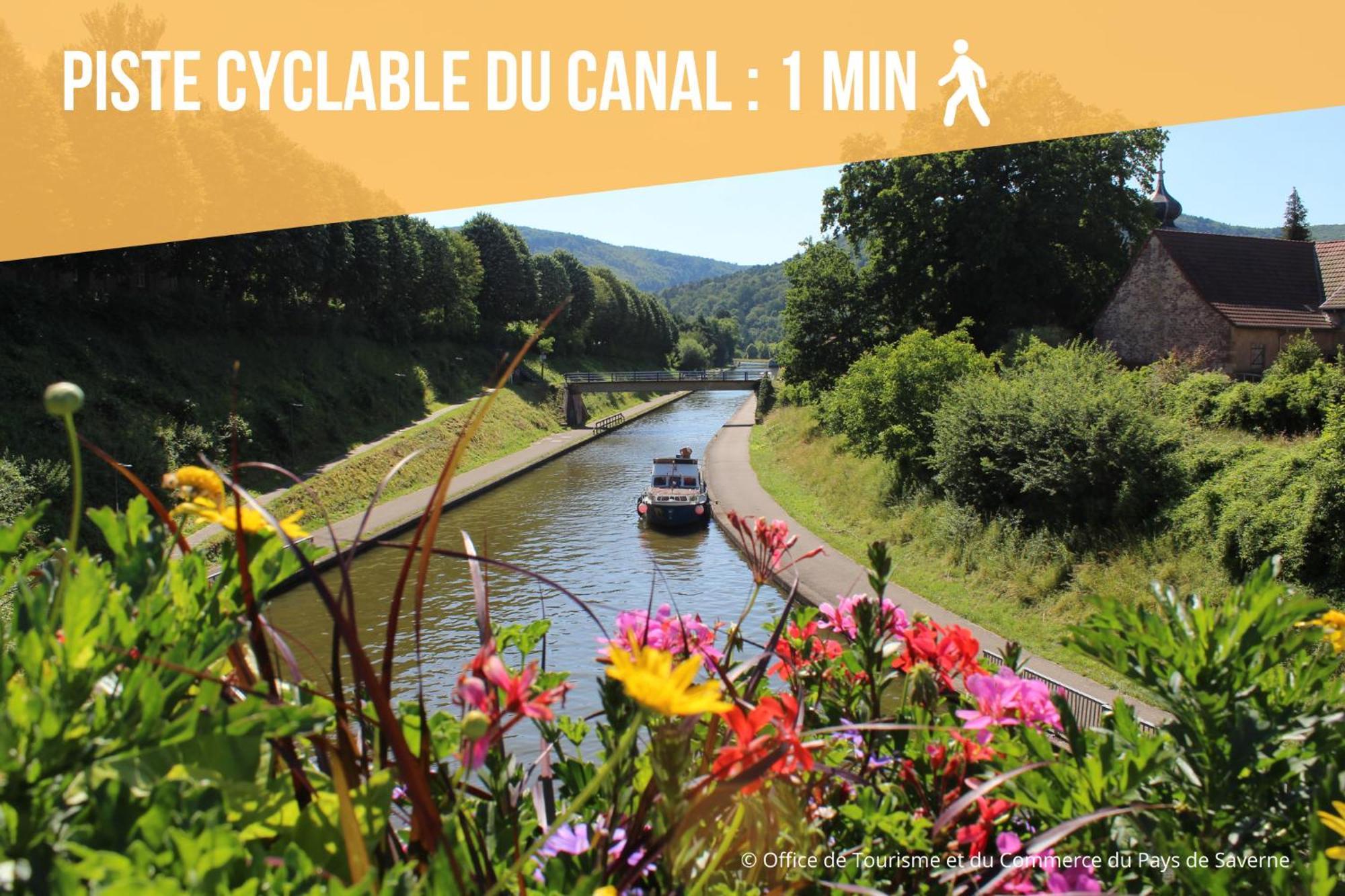 Les Rives Du Chateau, 90M2, Vue Sur Le Canal Saverne Esterno foto