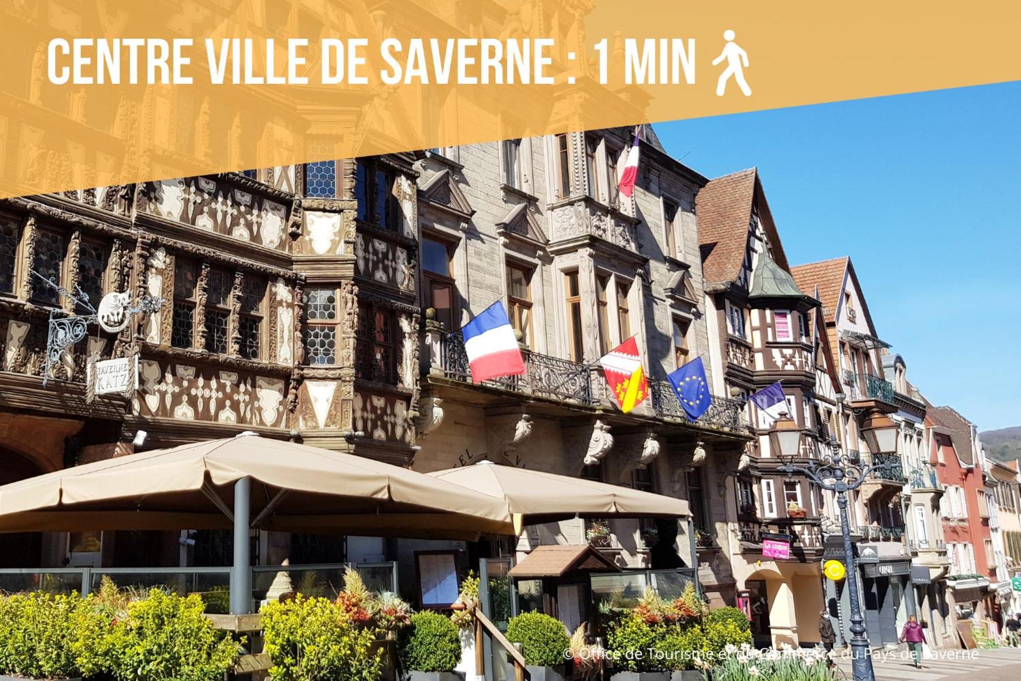 Les Rives Du Chateau, 90M2, Vue Sur Le Canal Saverne Esterno foto