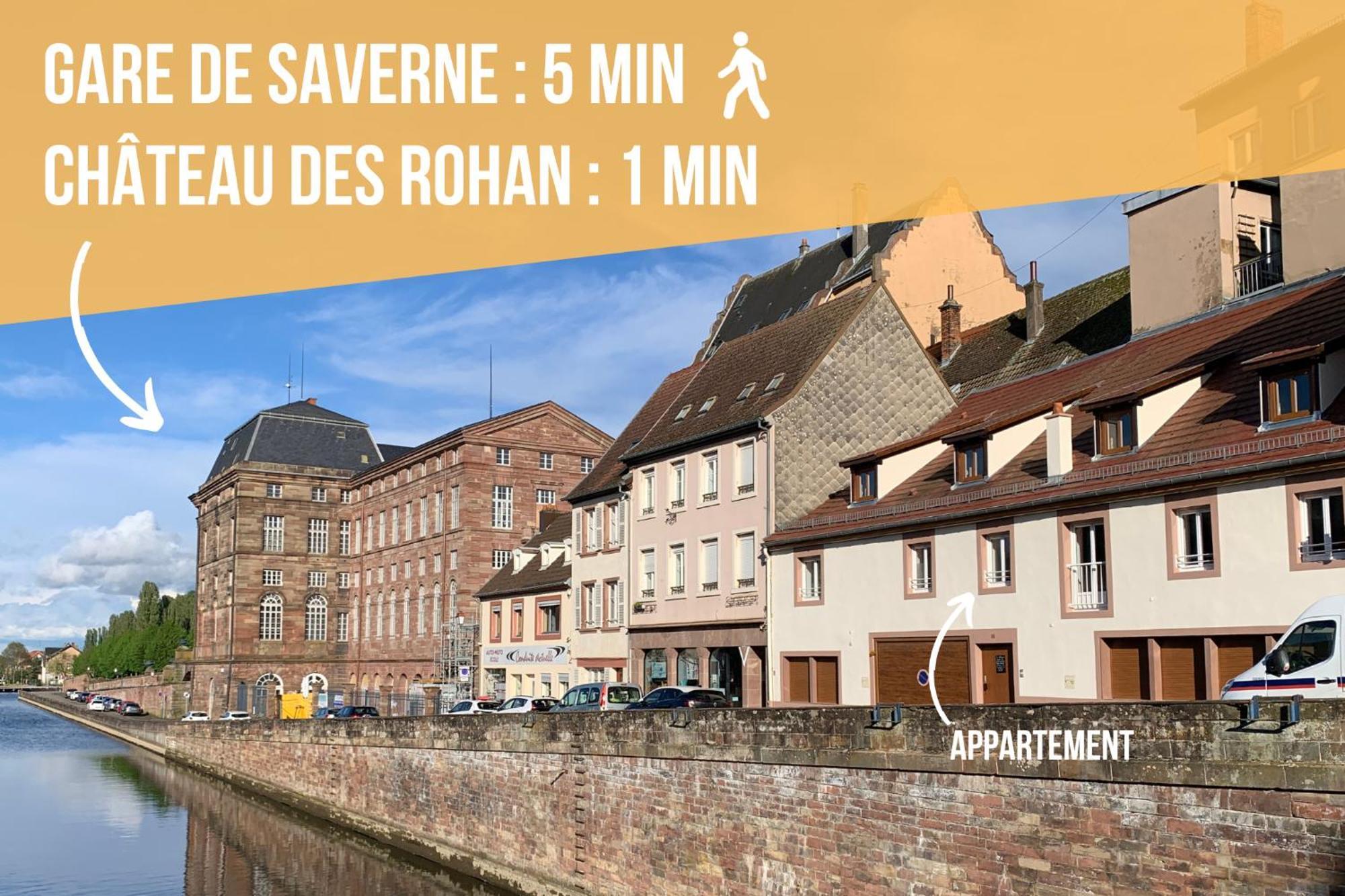 Les Rives Du Chateau, 90M2, Vue Sur Le Canal Saverne Esterno foto