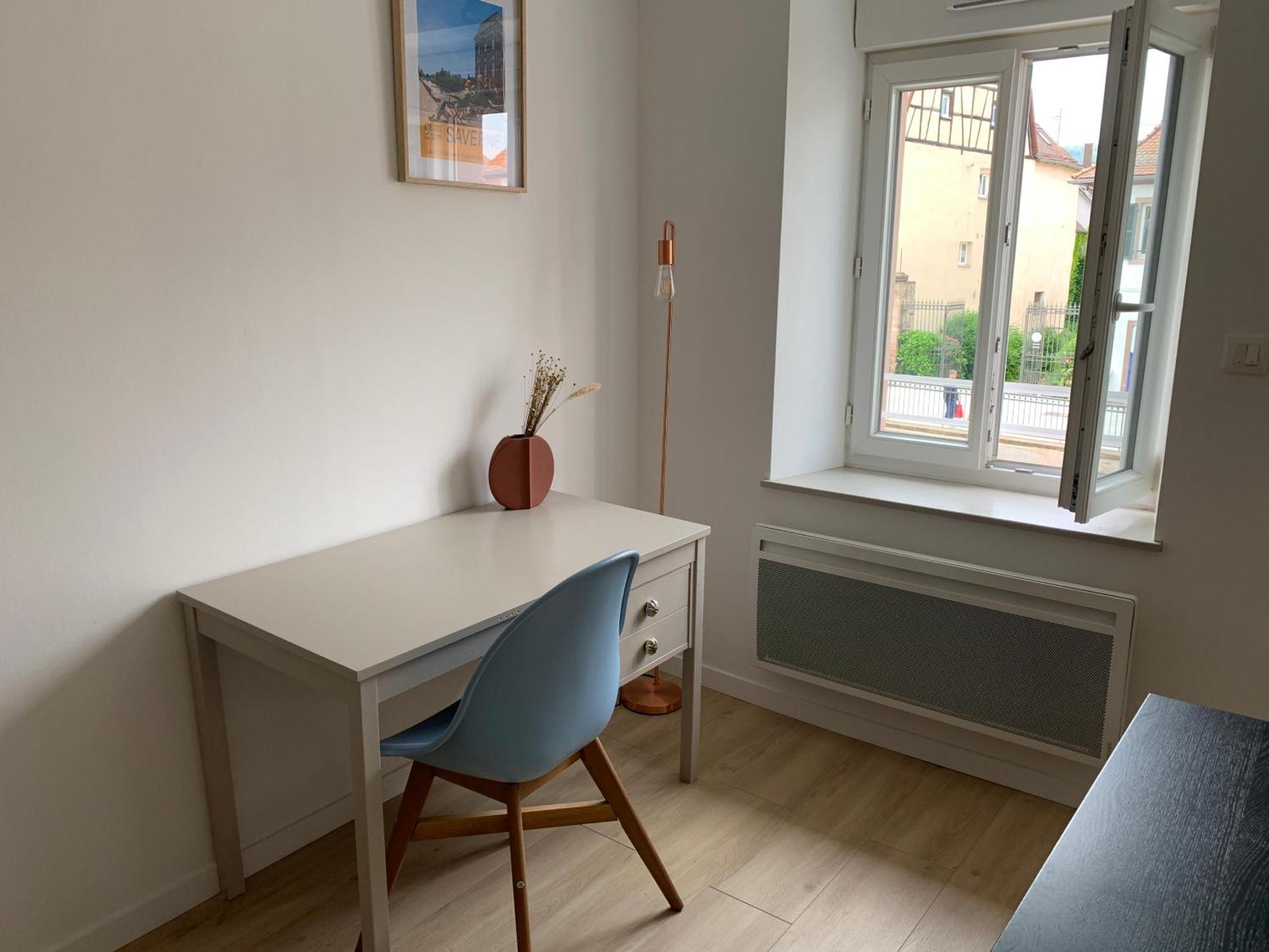 Les Rives Du Chateau, 90M2, Vue Sur Le Canal Saverne Esterno foto